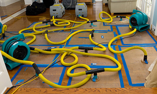 Professional Storm Water Damage Restoration technician working in Arlington, GA